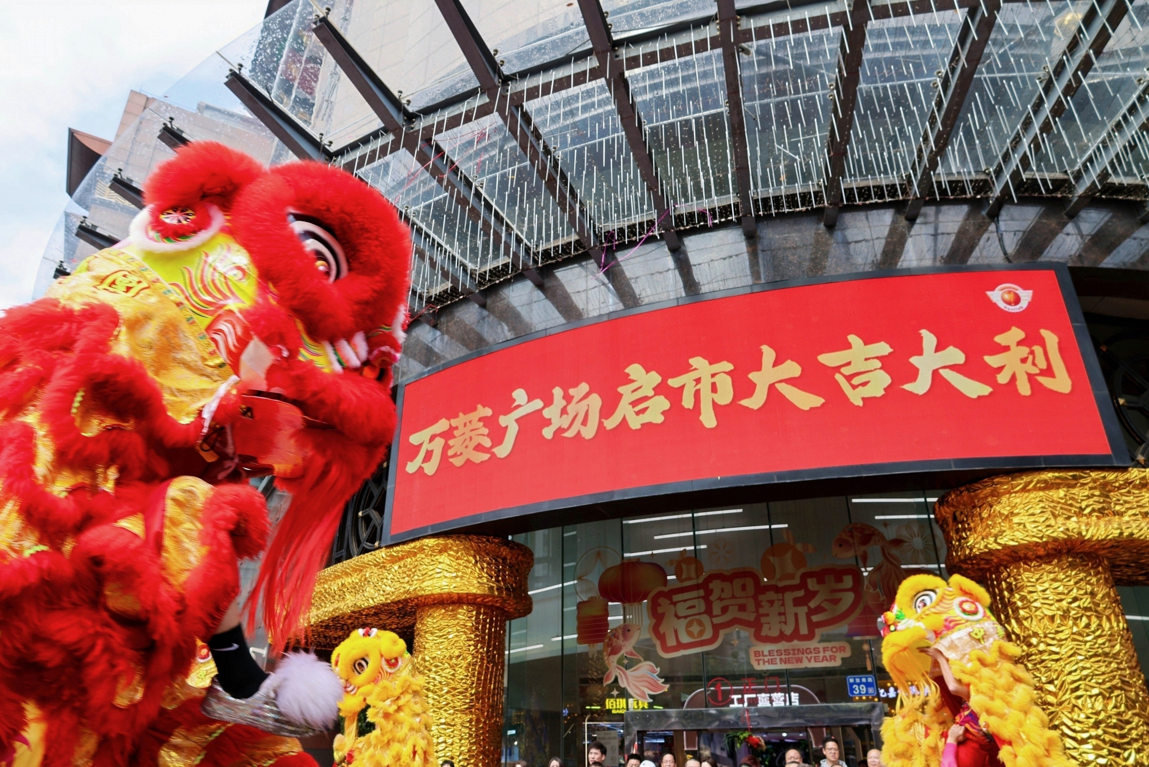 瑞狮启市迎新春 万菱广场2026新春醒狮活动圆满举行